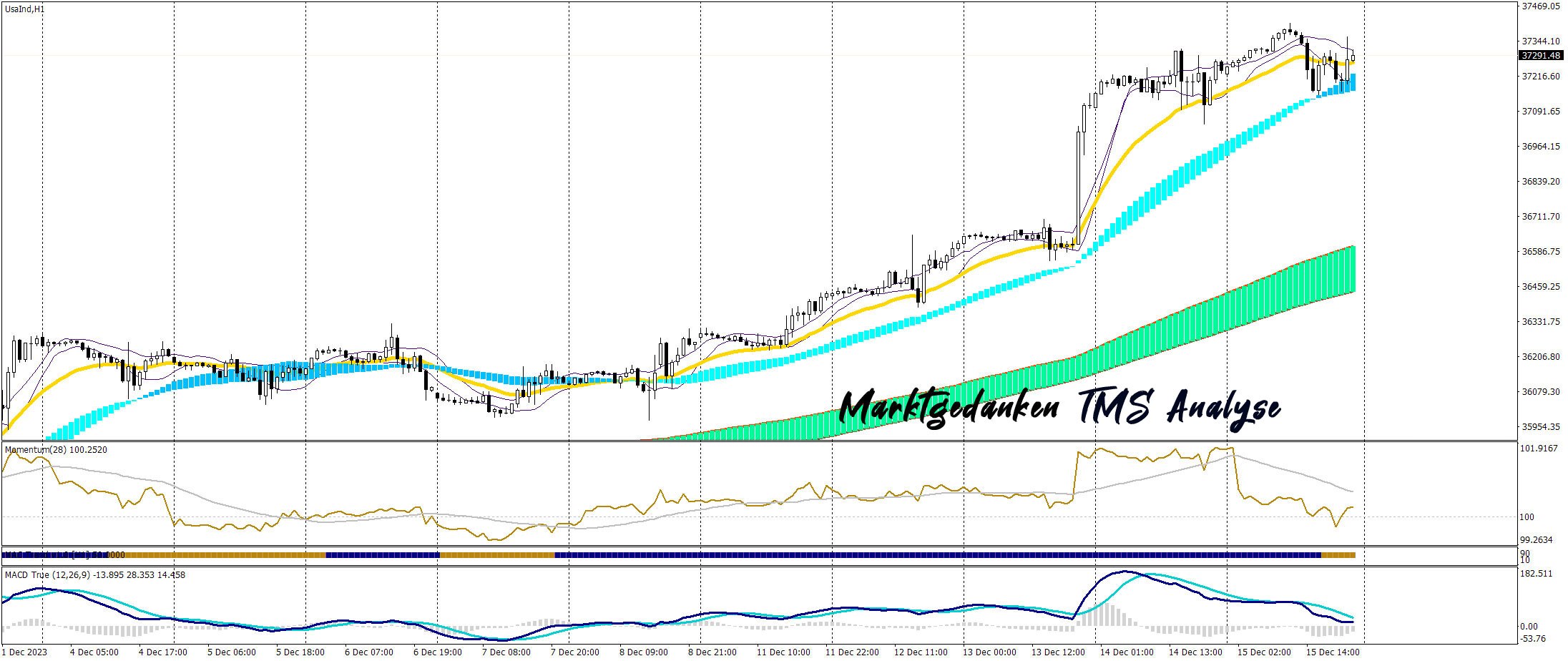 Marktgedanken TMS Analyse